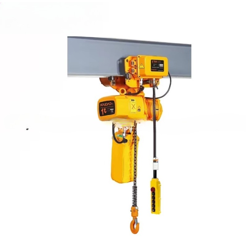 Dual Speed Electric Chain Hois - Heavy Equipment Electrical recension och pris