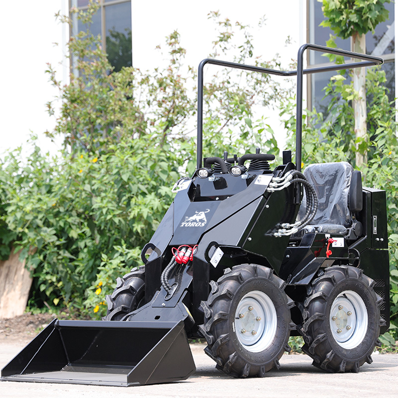 Best Price And Good Condition  - Skid Steer Loader recension och pris