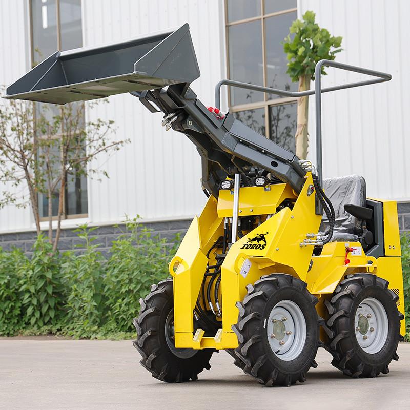 Best Price And Good Condition  - Skid Steer Loader recension och pris