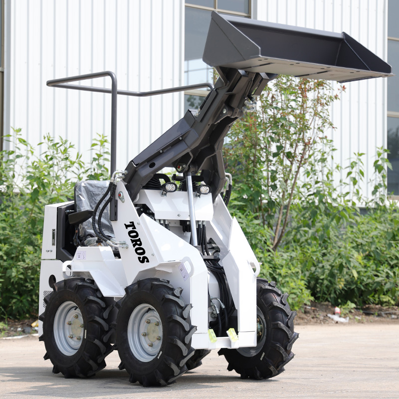 Best Price And Good Condition  - Skid Steer Loader recension och pris